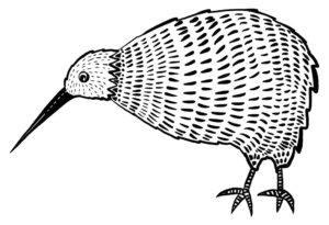illustrierter Kiwi Vogel in schwarz weiß